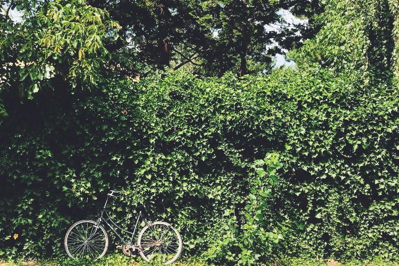 Rutas en bicicleta por Vilafranca del Penedès