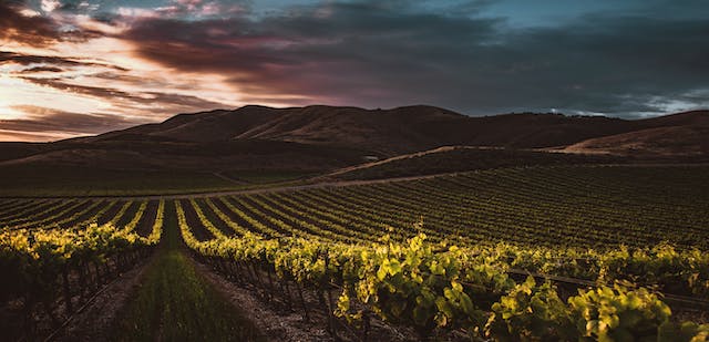 que ver en vilafranca del penedes