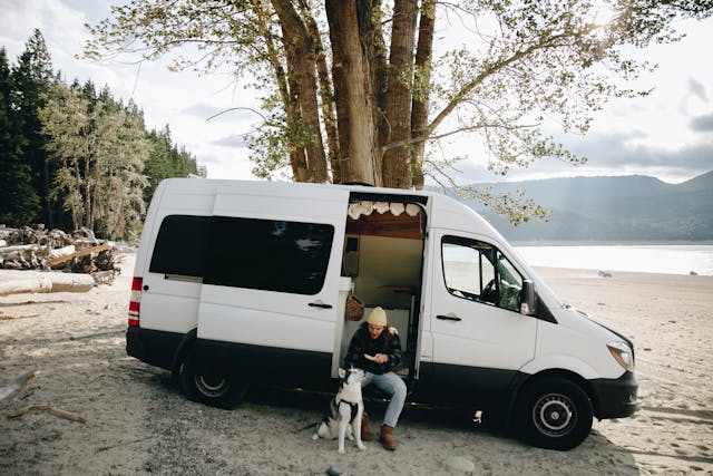 vacaciones con perro